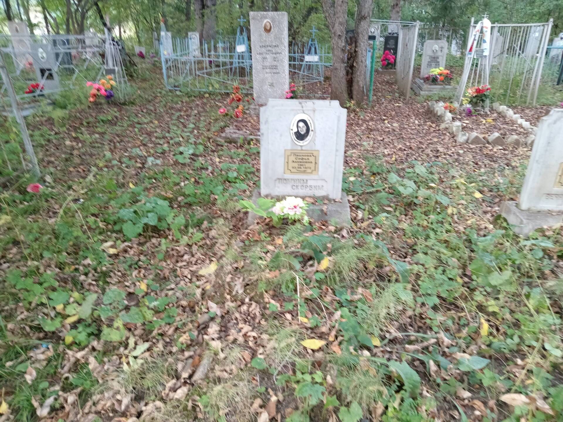 Пашкова Софья Акимовна