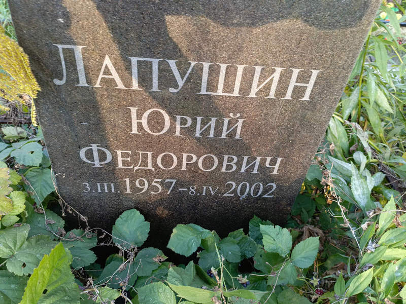 Лапушин