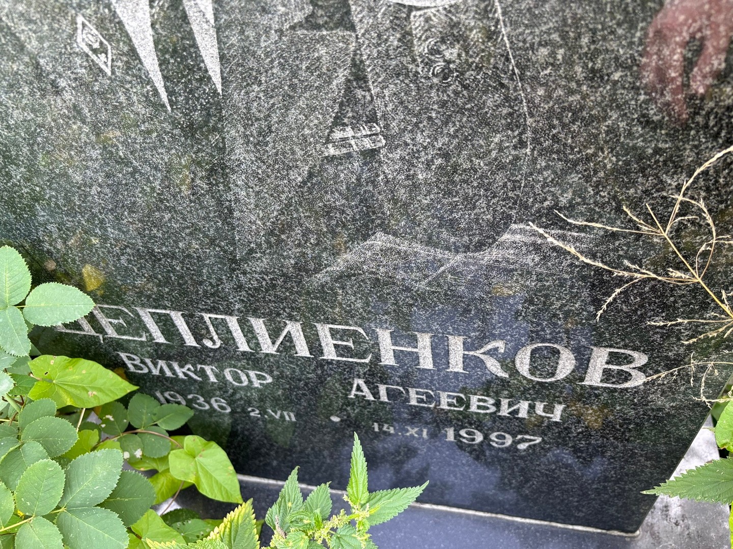 Цеплиенков