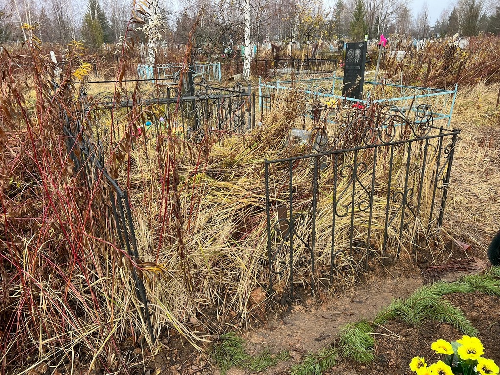 Закурдаев Герман Иванович