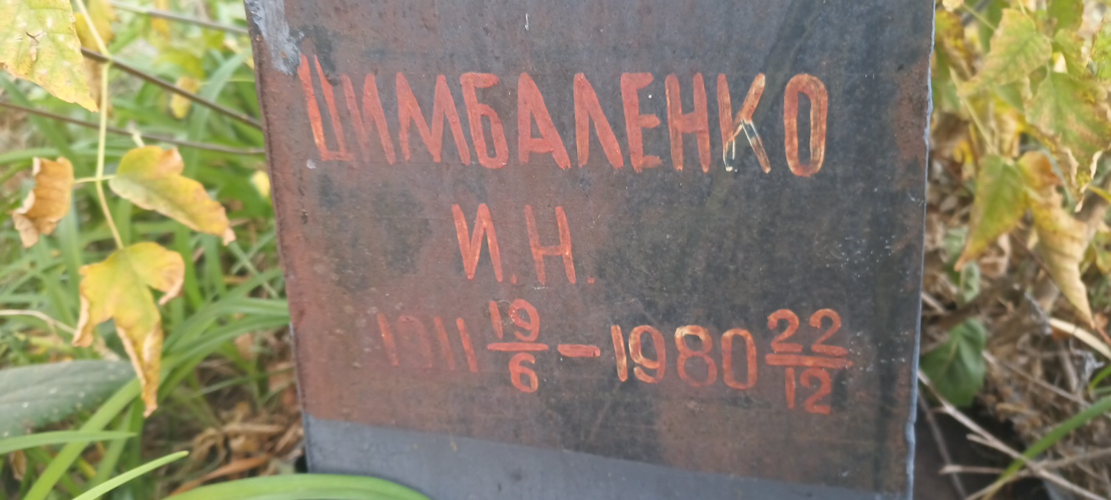 Цимбаленко И. Н.