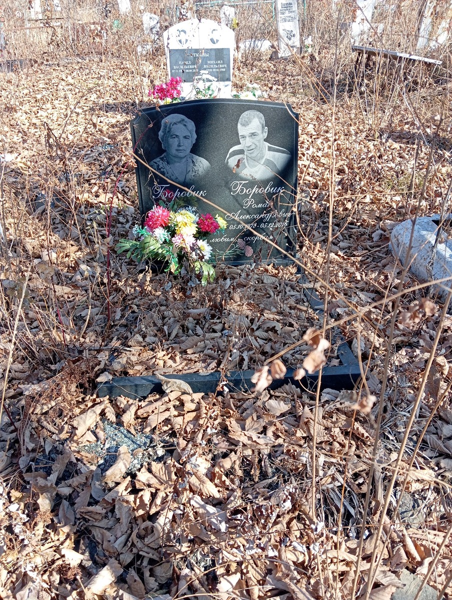 Боровик Роман Александрович