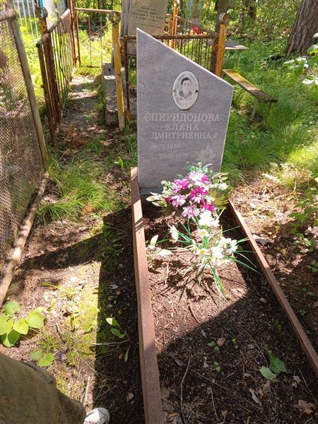Спиридонова Елена Дмитриевна