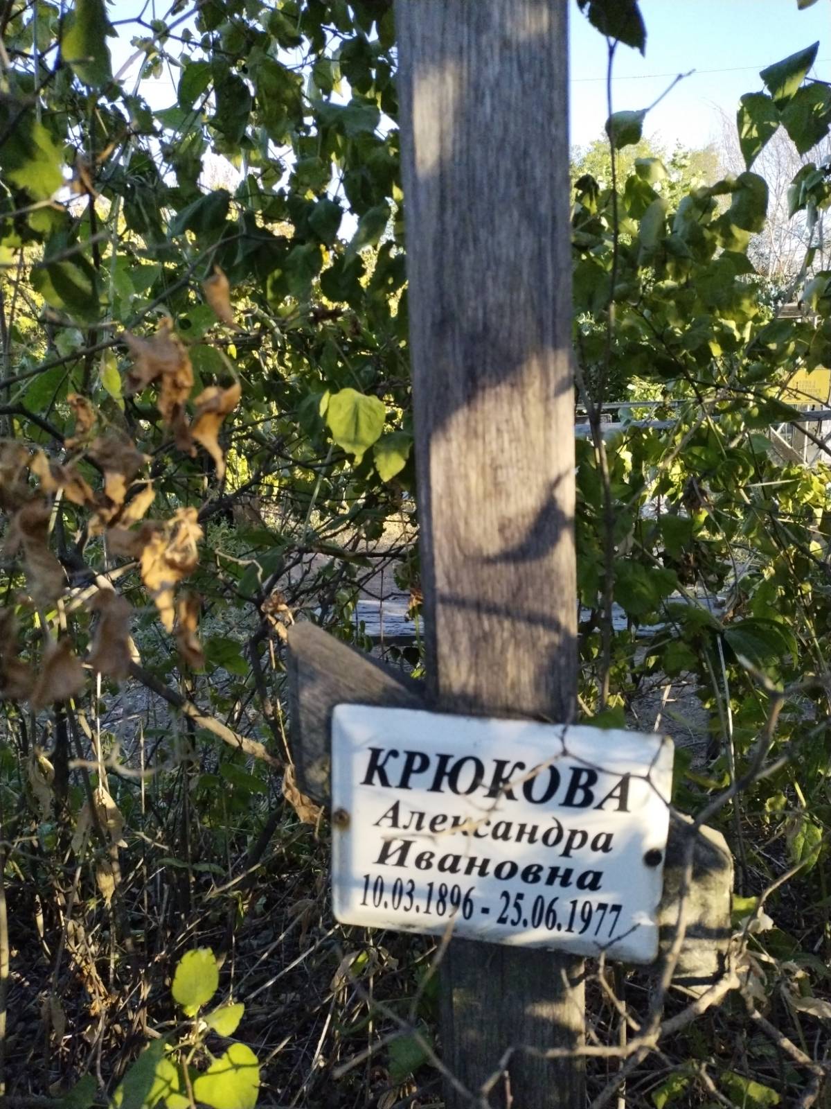 Крюкова Александра Ивановна