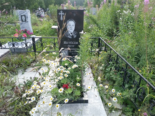 Нетёсов Петр Иванович