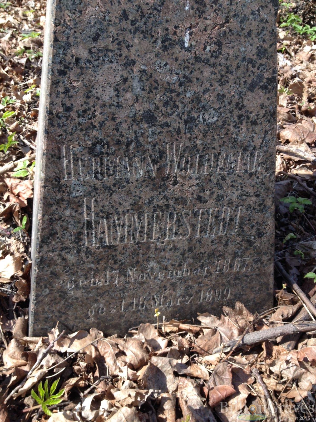 Hammerstedt Zermann Woldemar