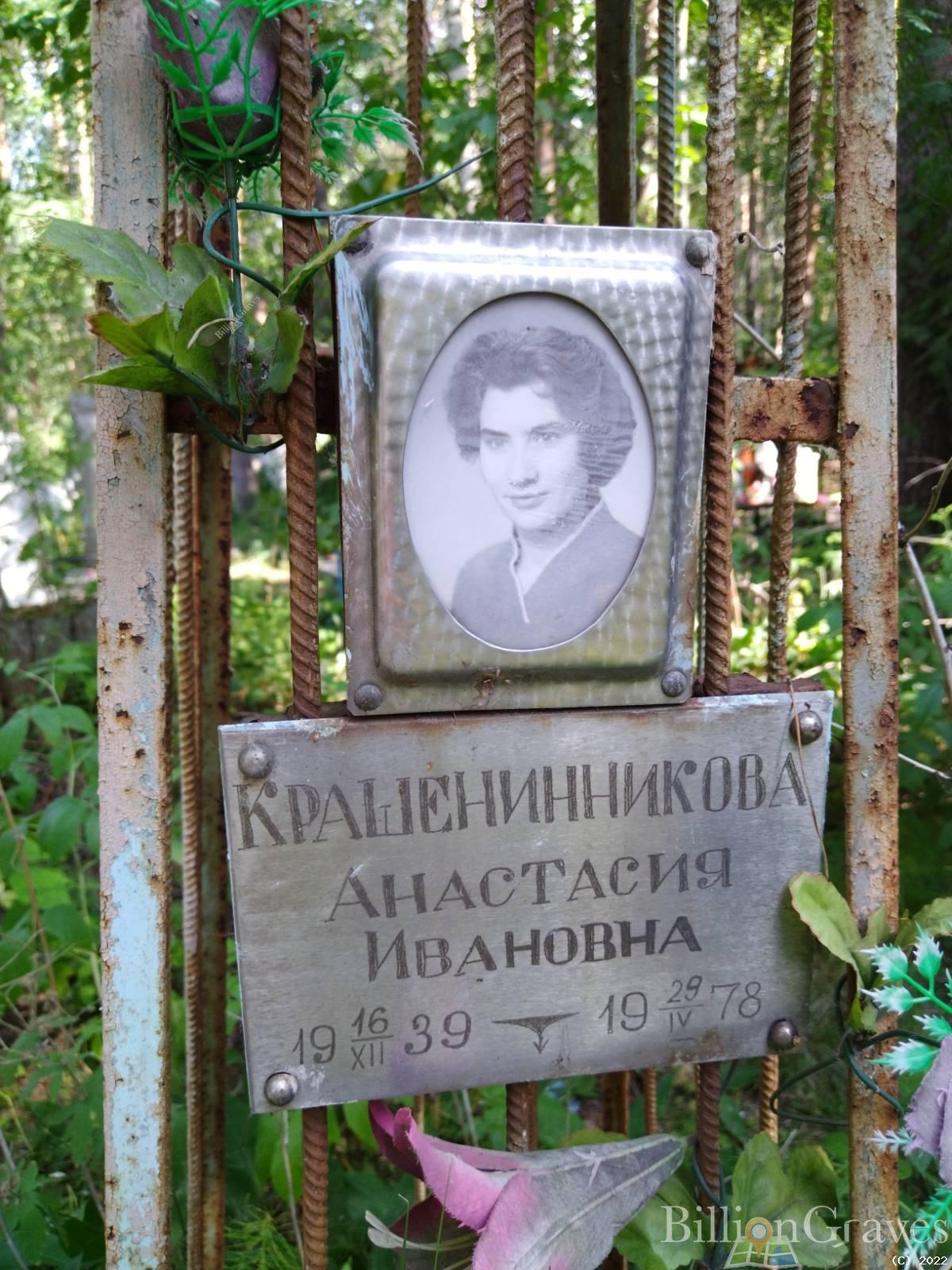 Крашенинникова Анастасия Ивановна
