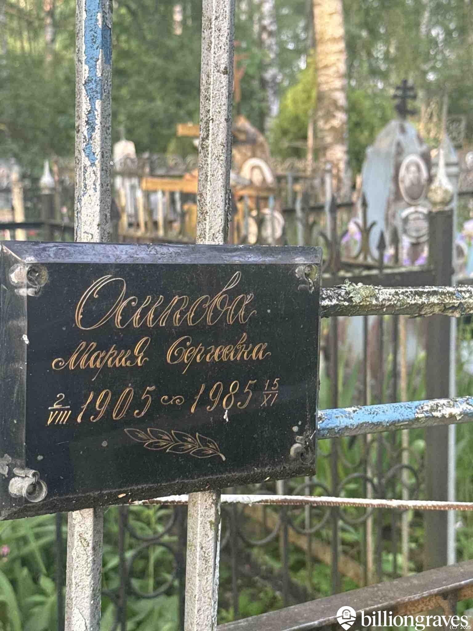 Осипова Мария Сергеевна