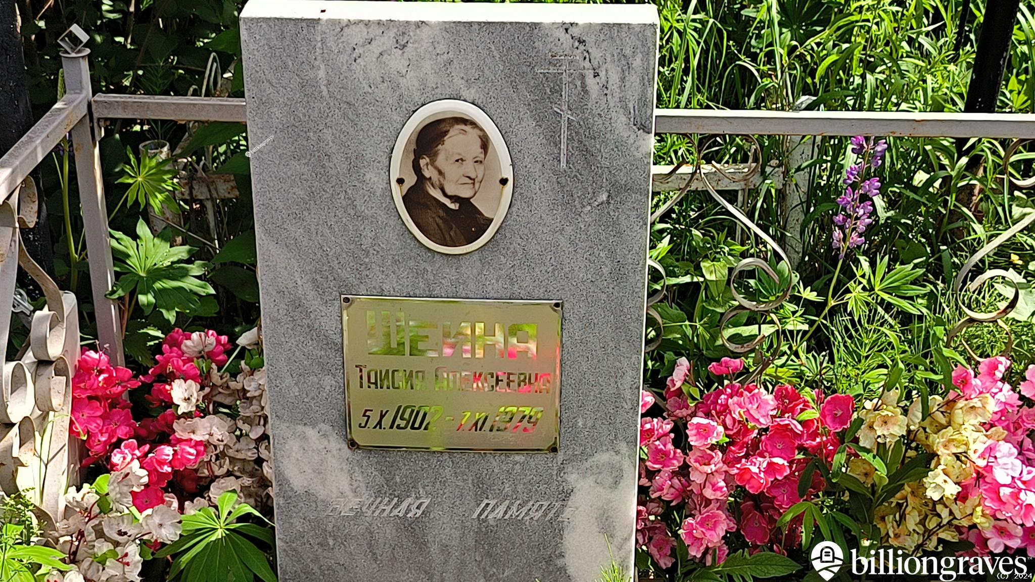 Шеина Таисия Алексеевна
