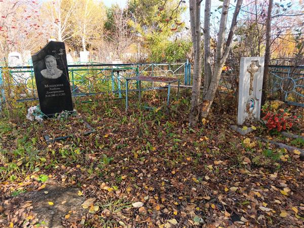 Мошкин Анатолий Николаевич