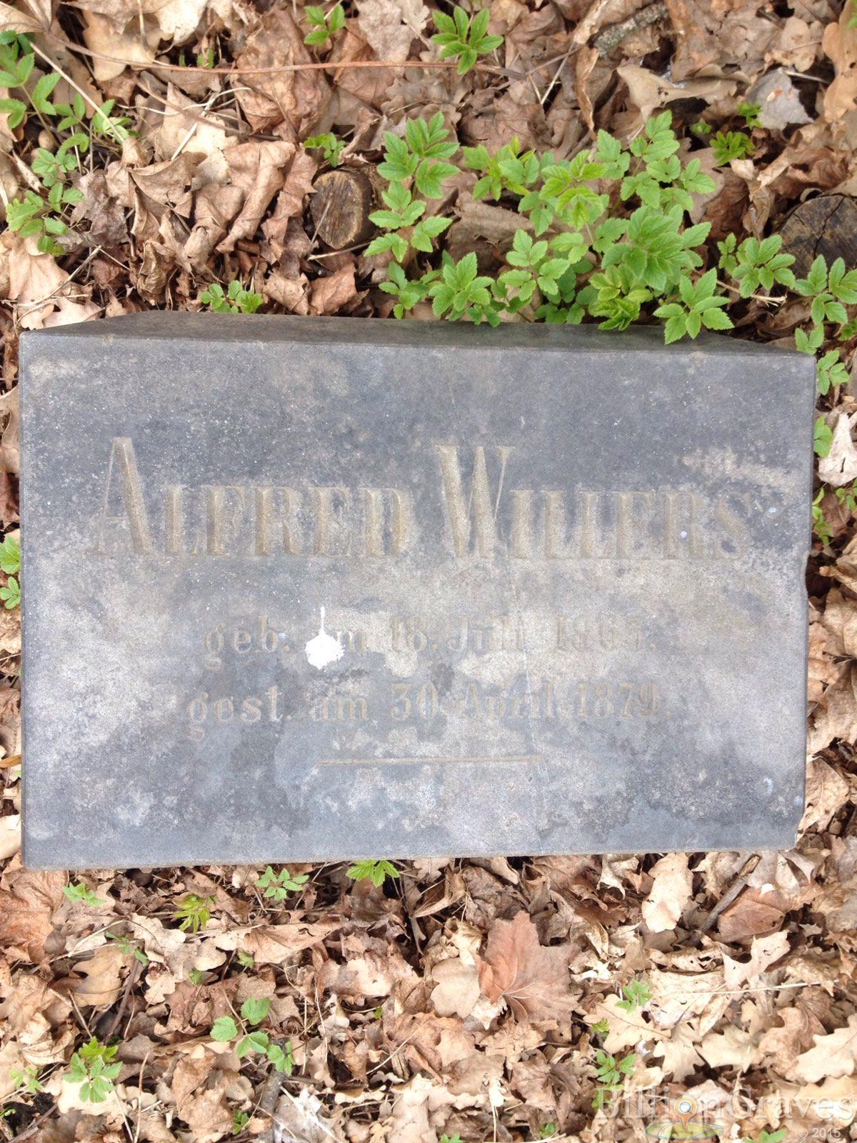 Willers Alfred