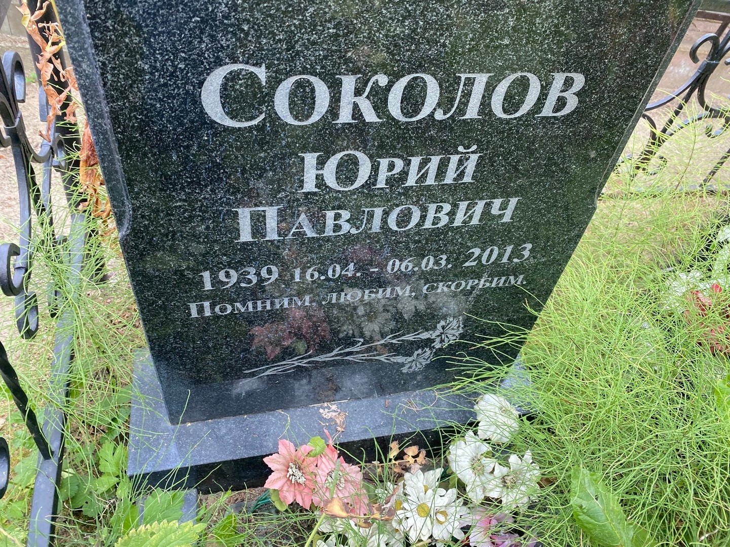 Соколов