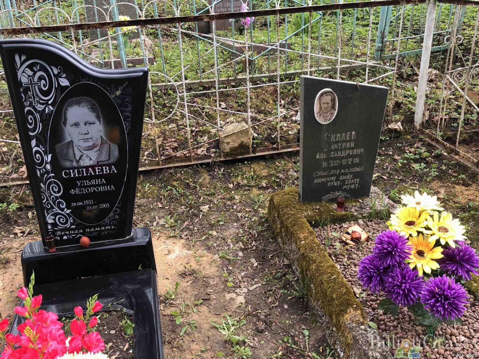 Силаев Дмитрий Александрович