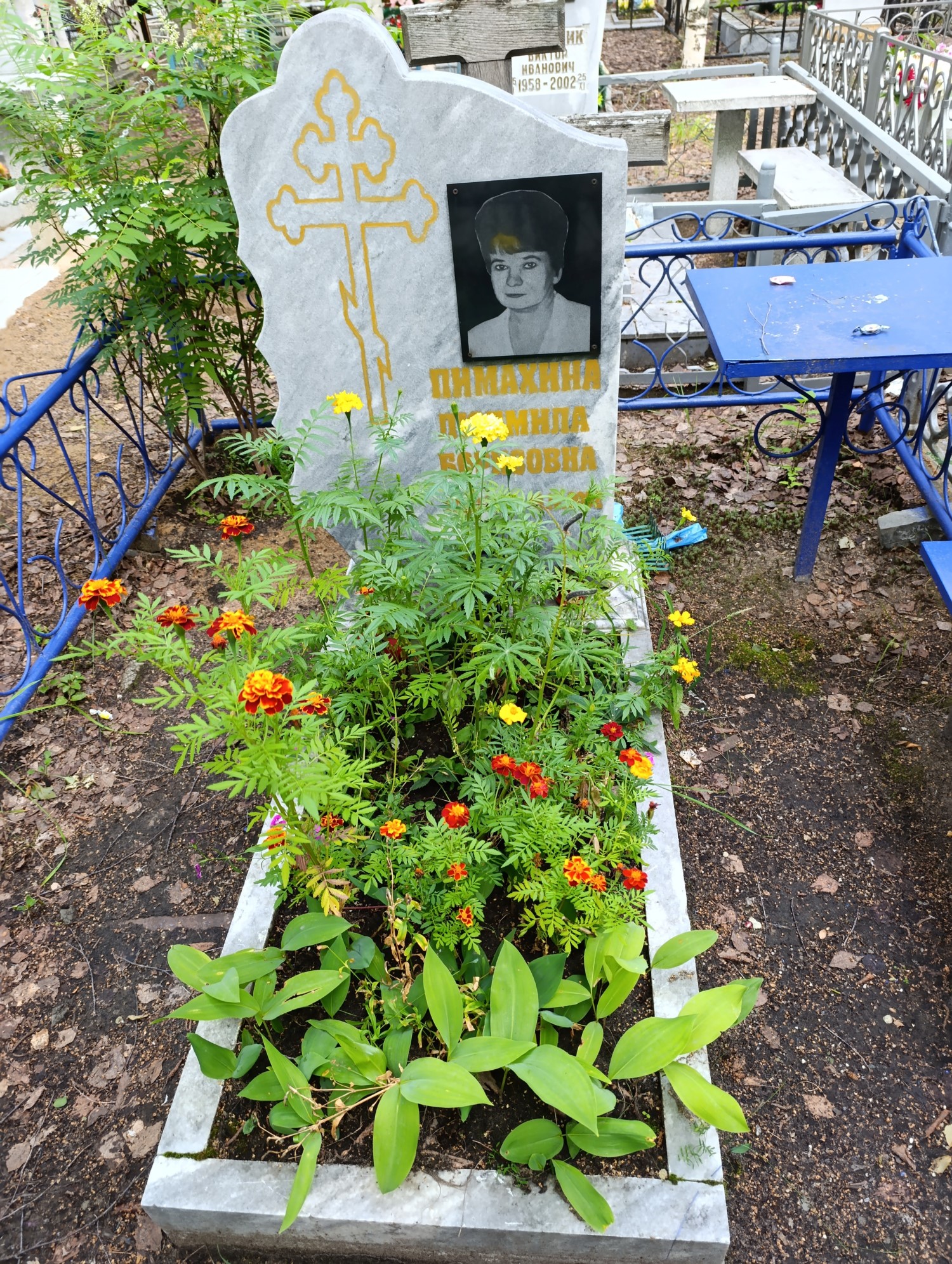 Пимахина Людмила Борисовна