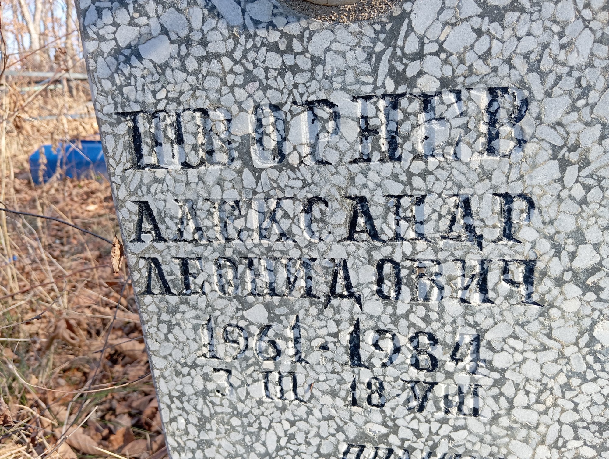 Шворнев Александр Леонидович