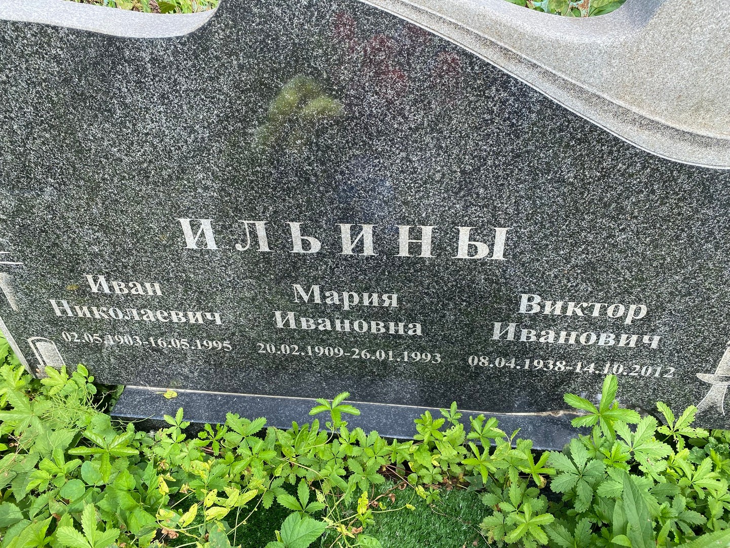 Ильин