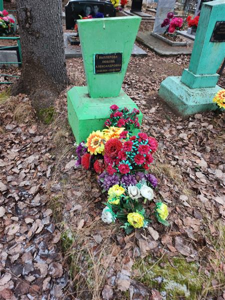 Выллерова Любовь Александровна