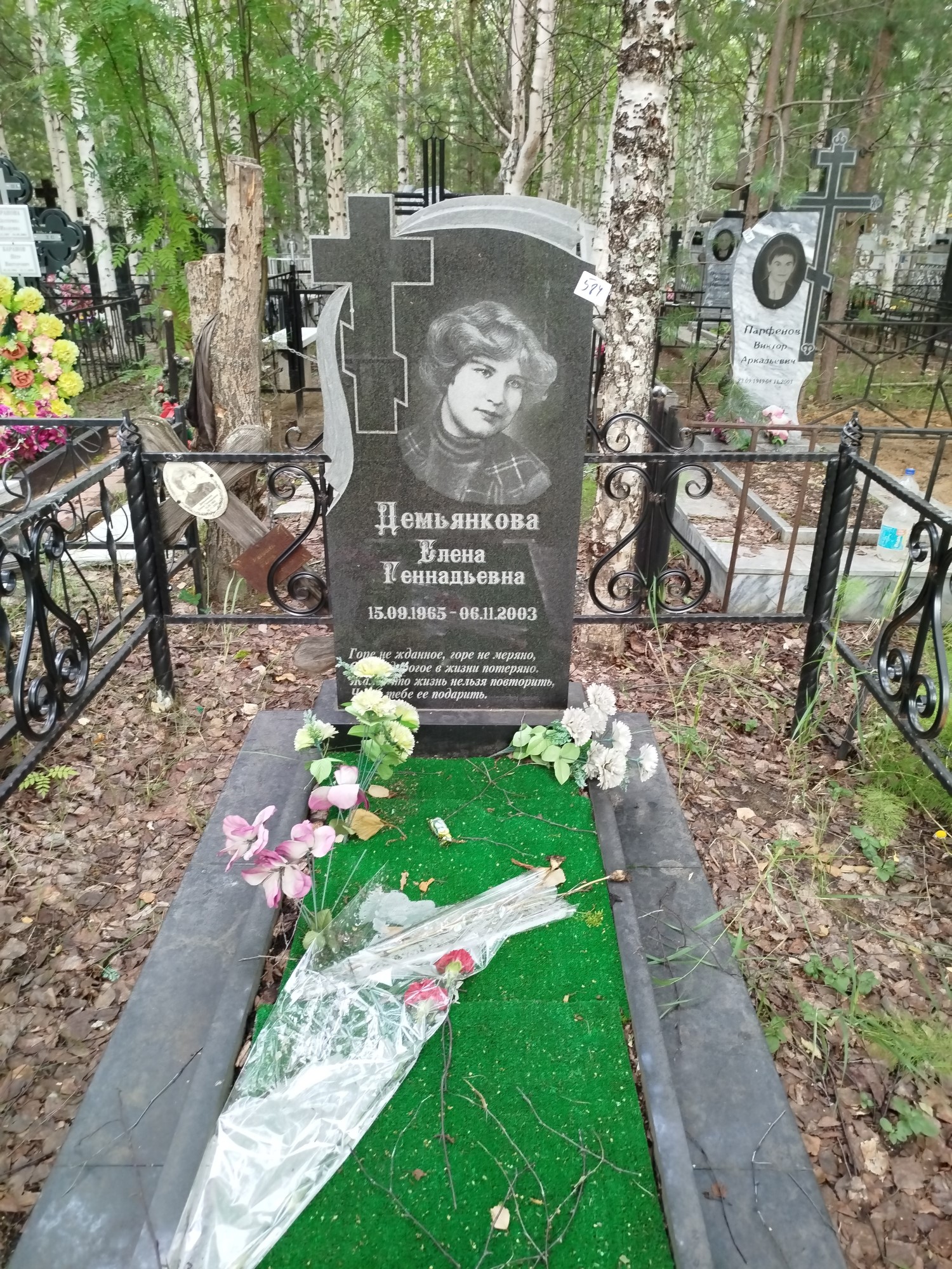 Демьянкова Елена Геннадьевна
