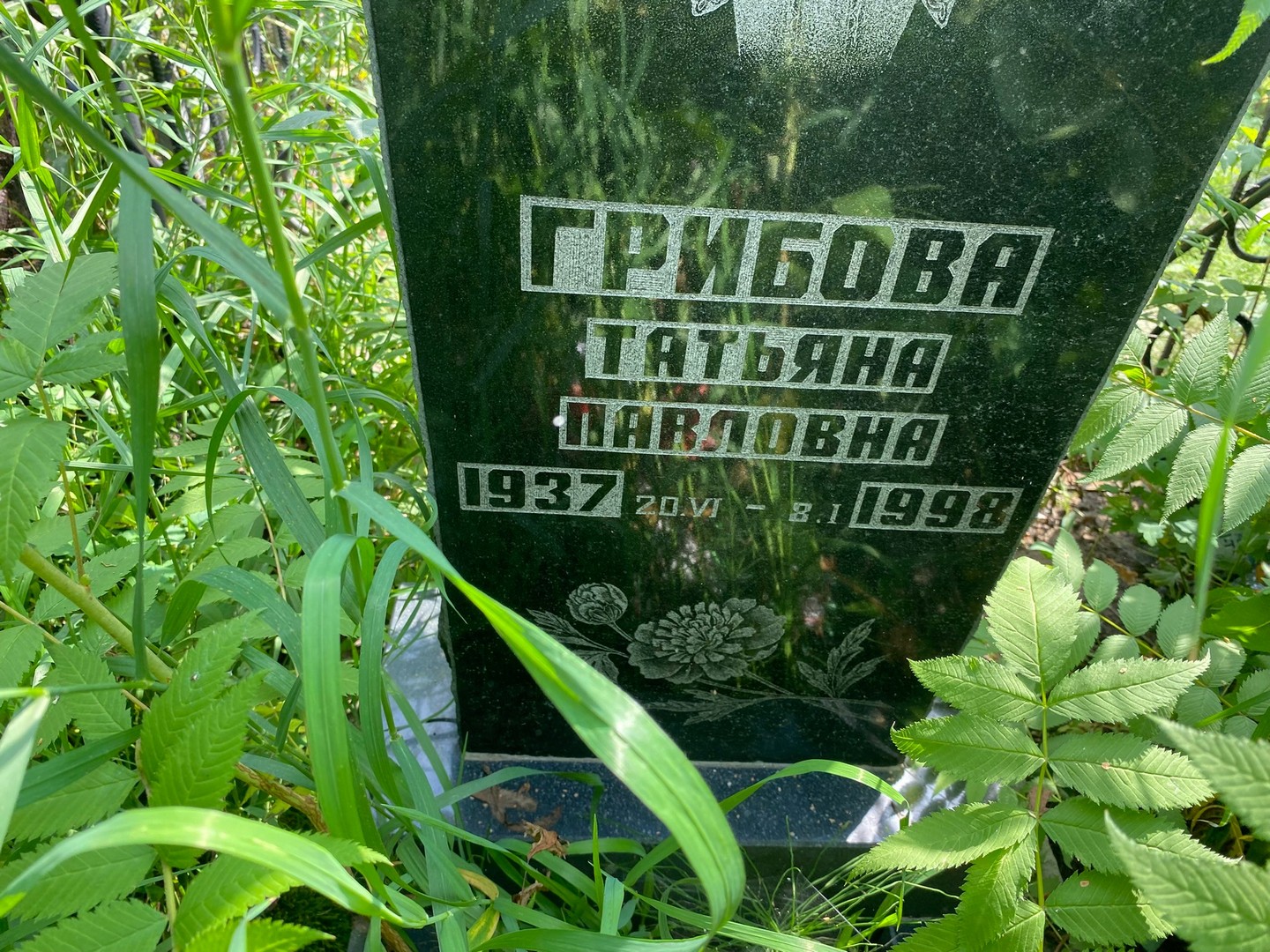 Грибова