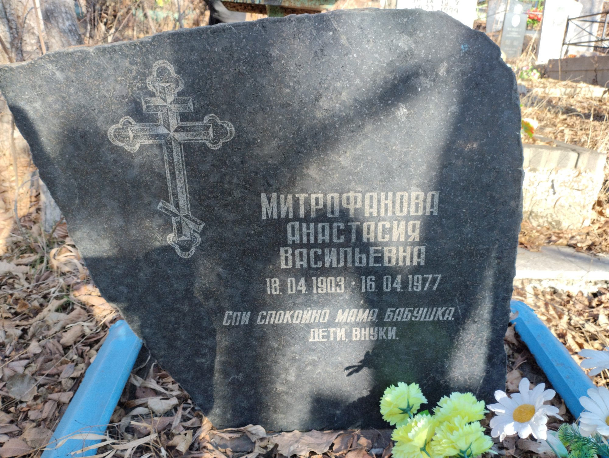 Митрофанова Анастасия Васильевна