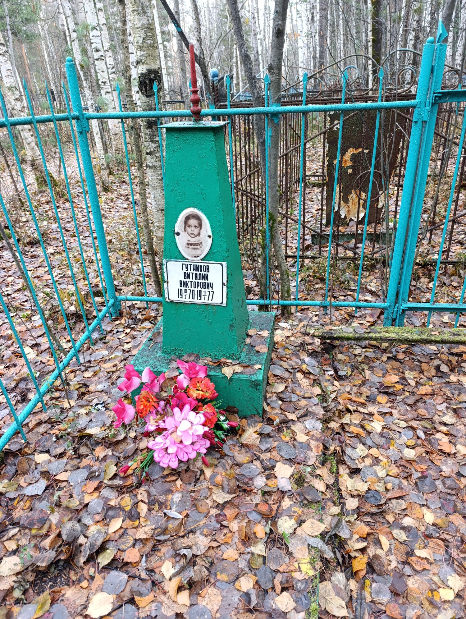 Гутников Виталий Викторович
