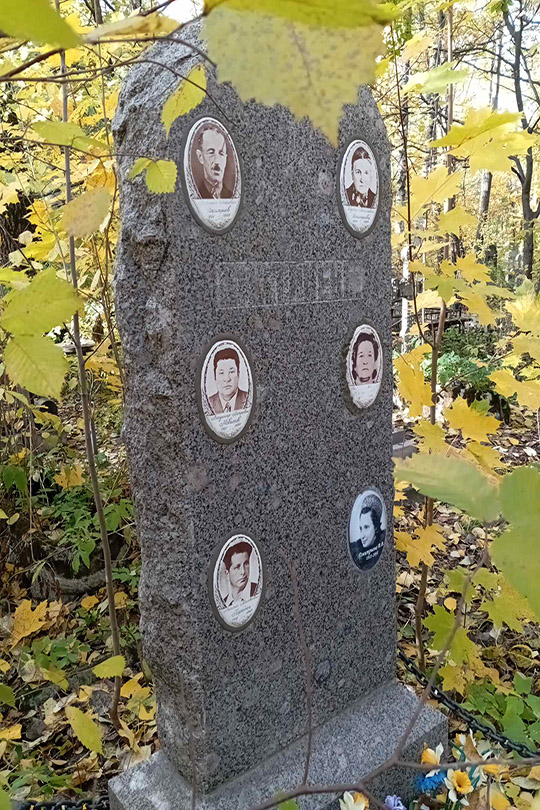 Дмитриева В. В.