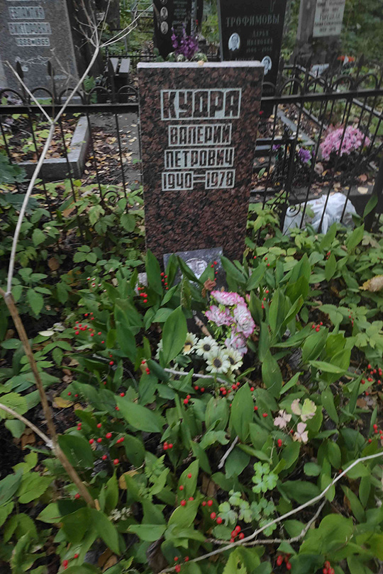 Сафонова О. И.