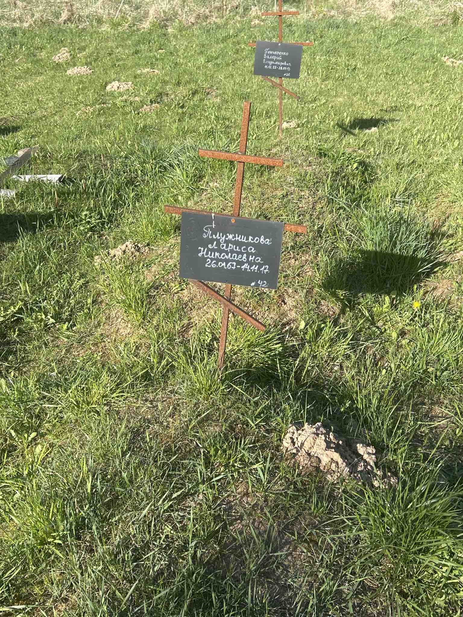 Плужникова Лариса Николаевна