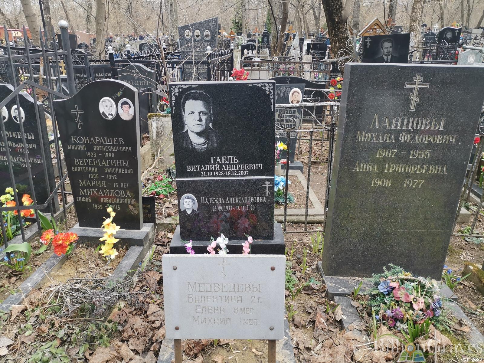 Гаель Виталий Андреевич
