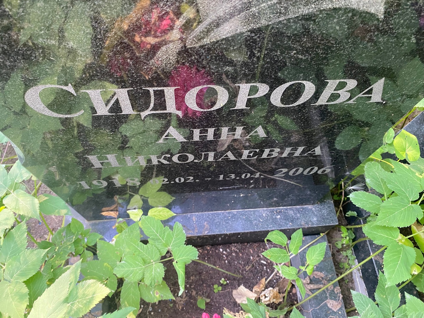 Сидорова