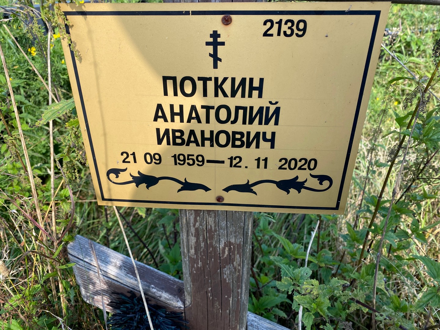 Поткин