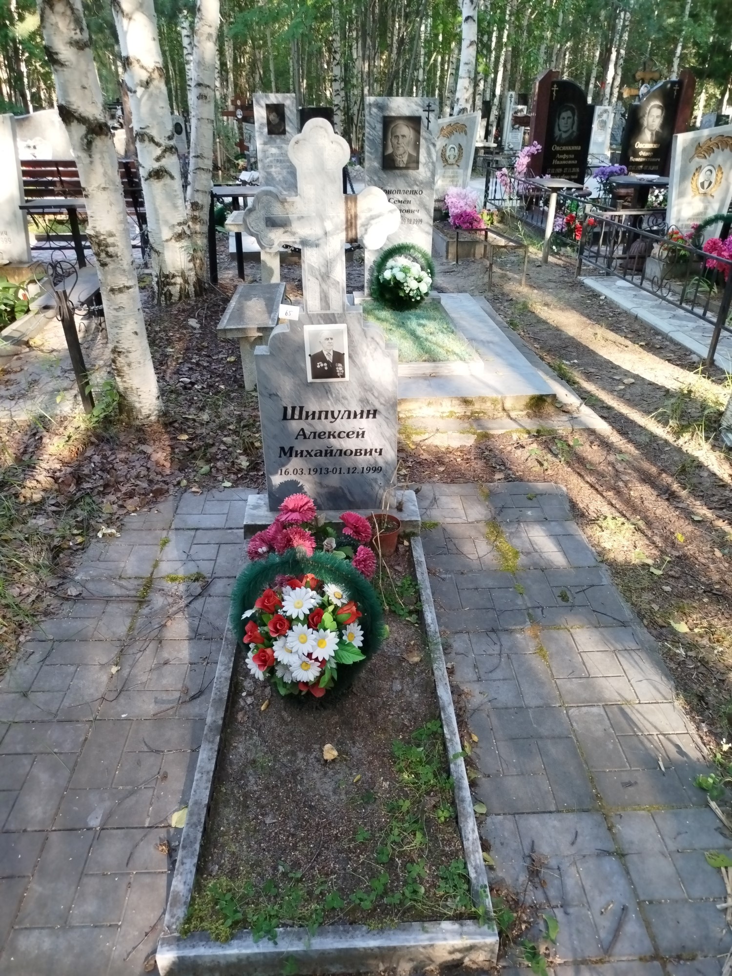 Шипулин Алексей Михайлович
