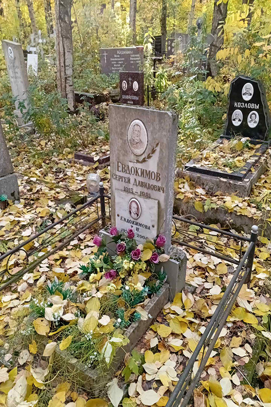 Евдокимова Т. Н.