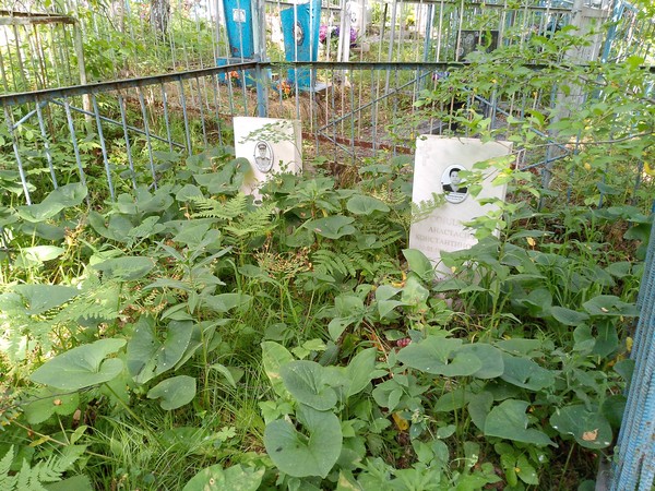 Чусовлянова Анастасия Константиновна