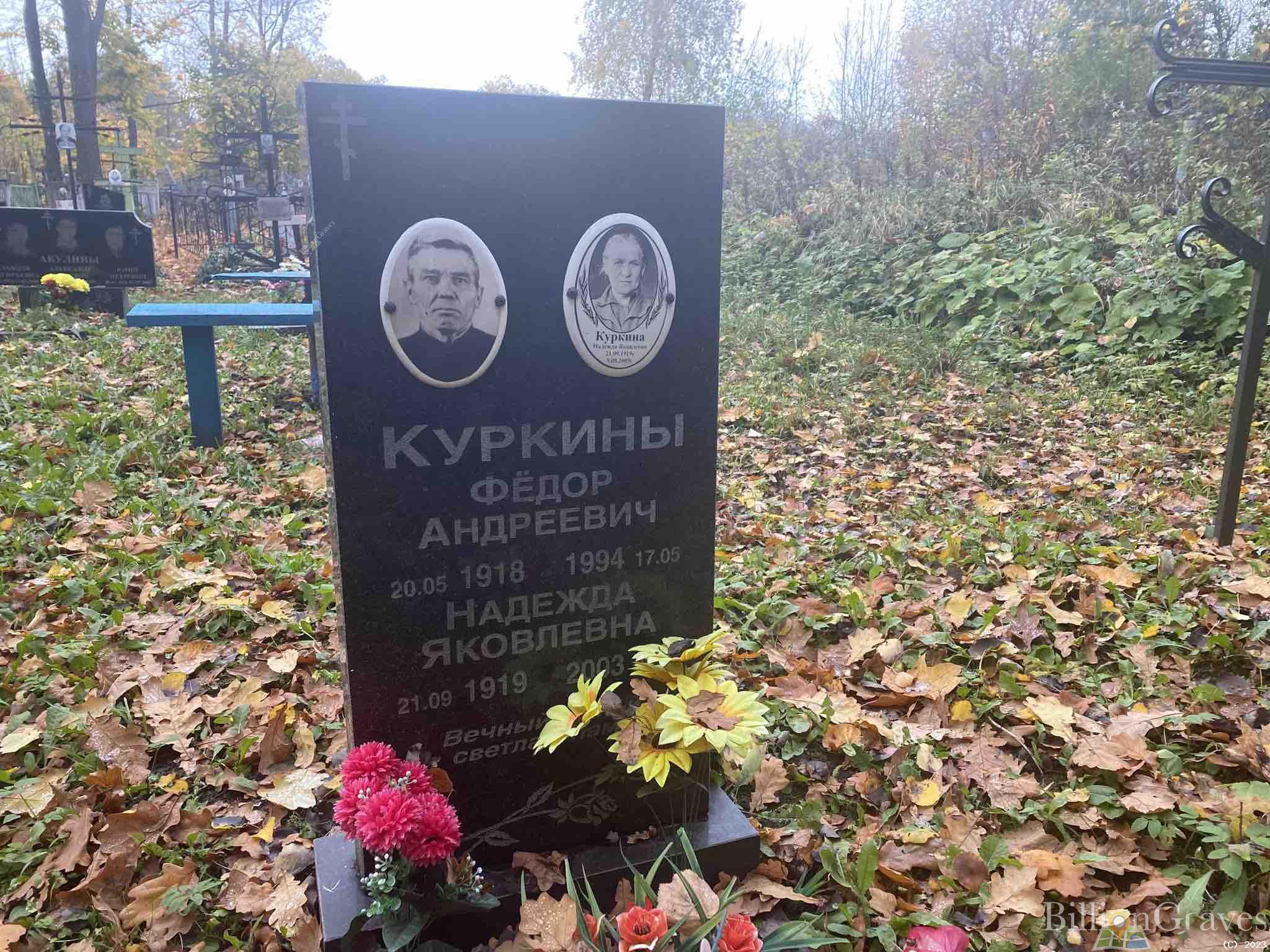 Куркина Надежда Яколевна