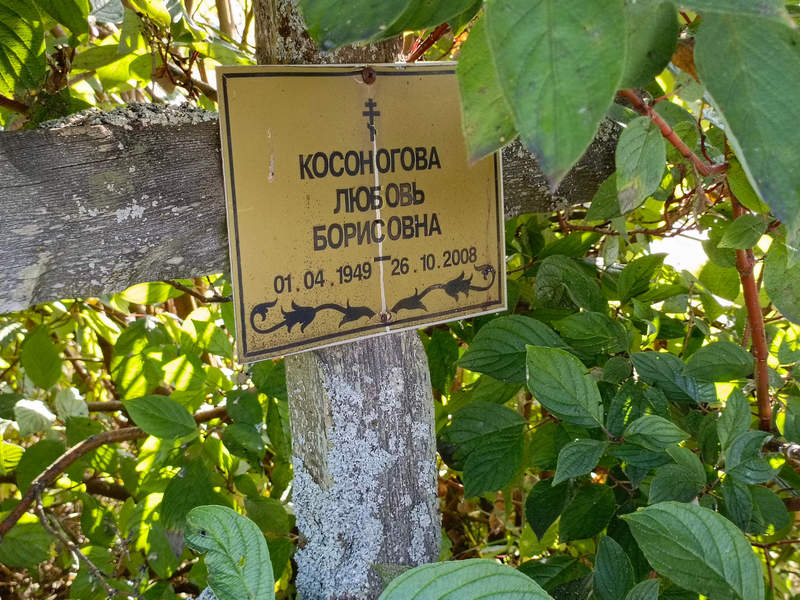 Косоногова