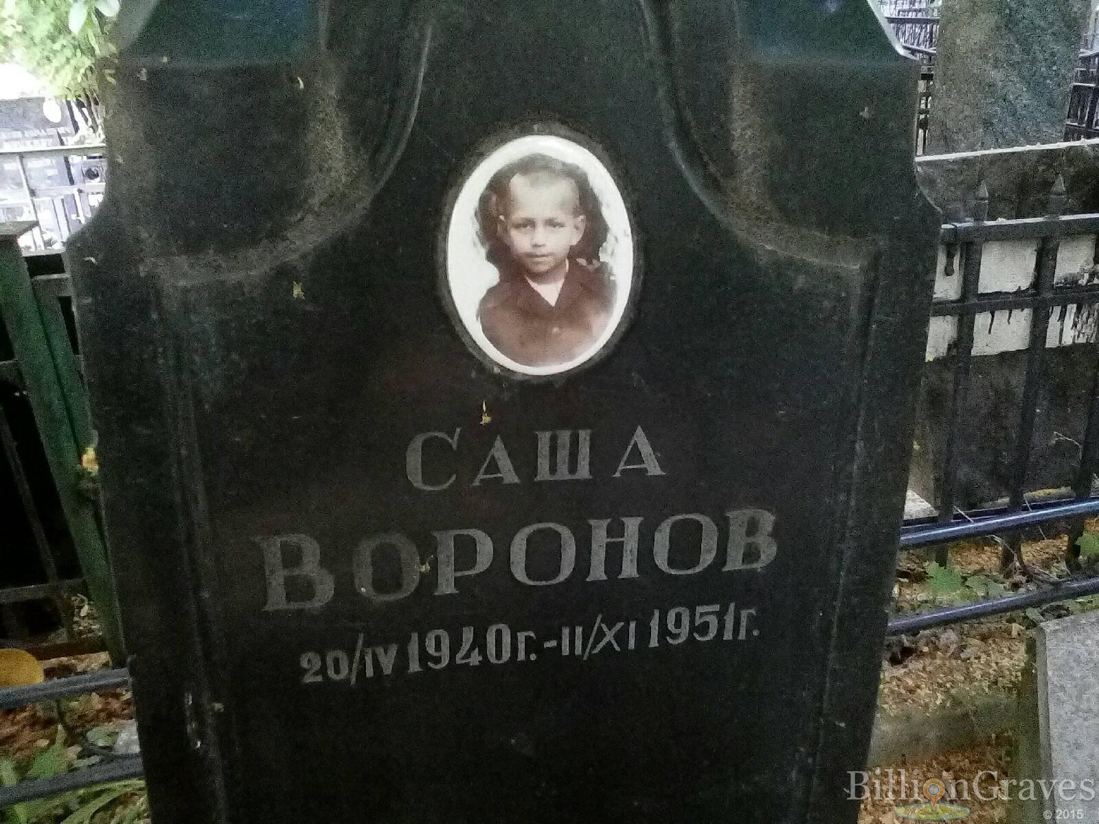 воронов александр