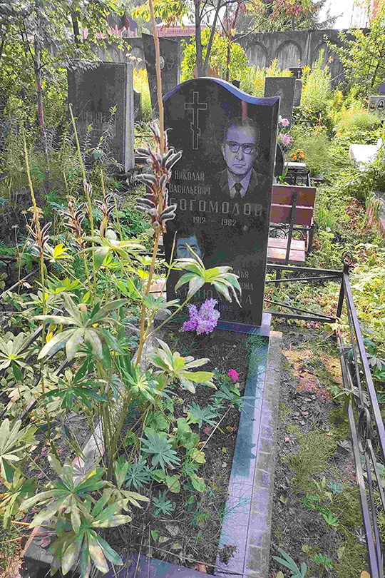 Конюхова Наталья Федоровна