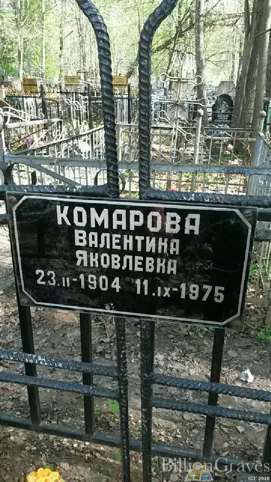 комаров владимир геннадьевич