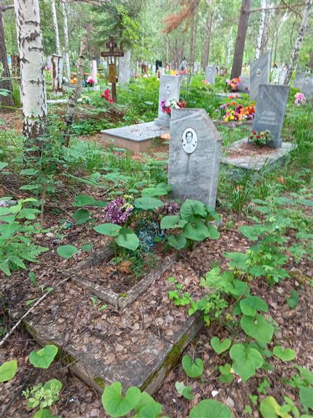 Зюзёв Дмитрий Александрович