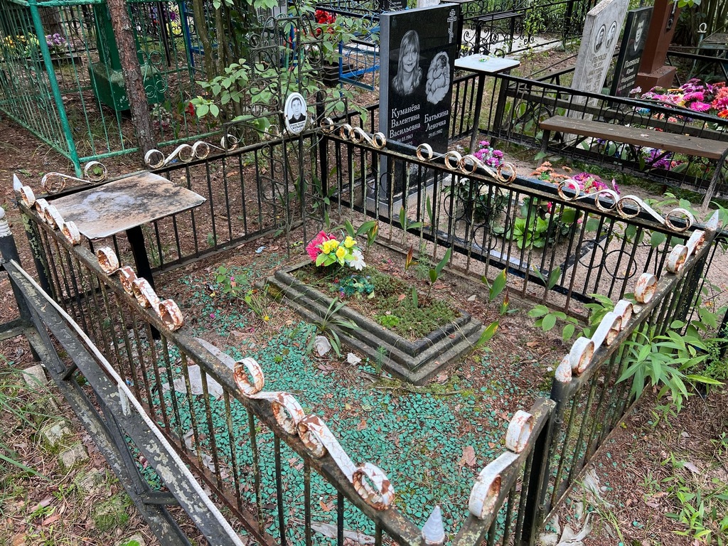 Батькин Владимир Николаевич