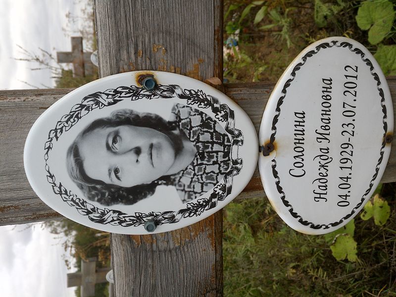 Солонина