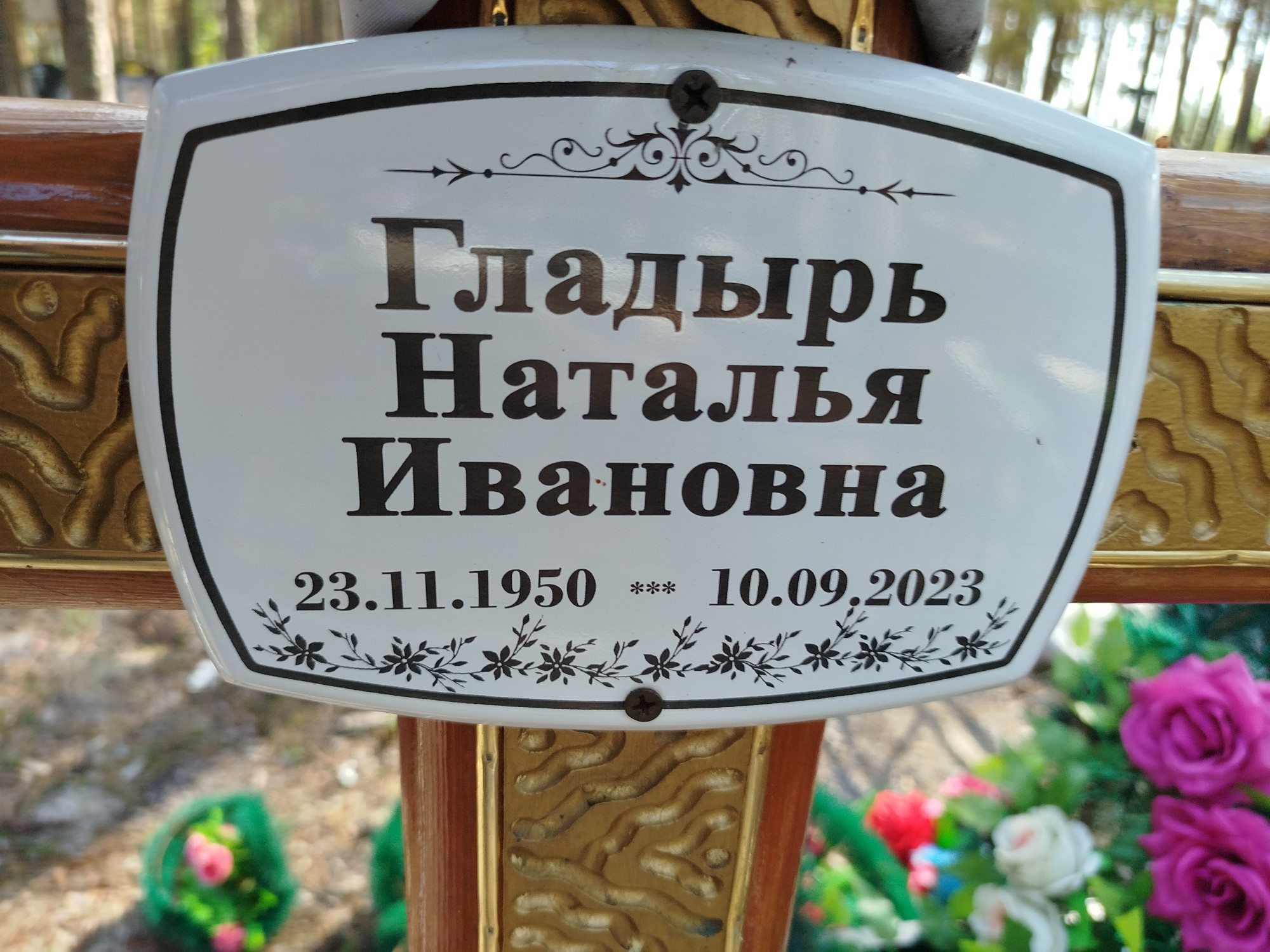 Гладырь Наталья Ивановна