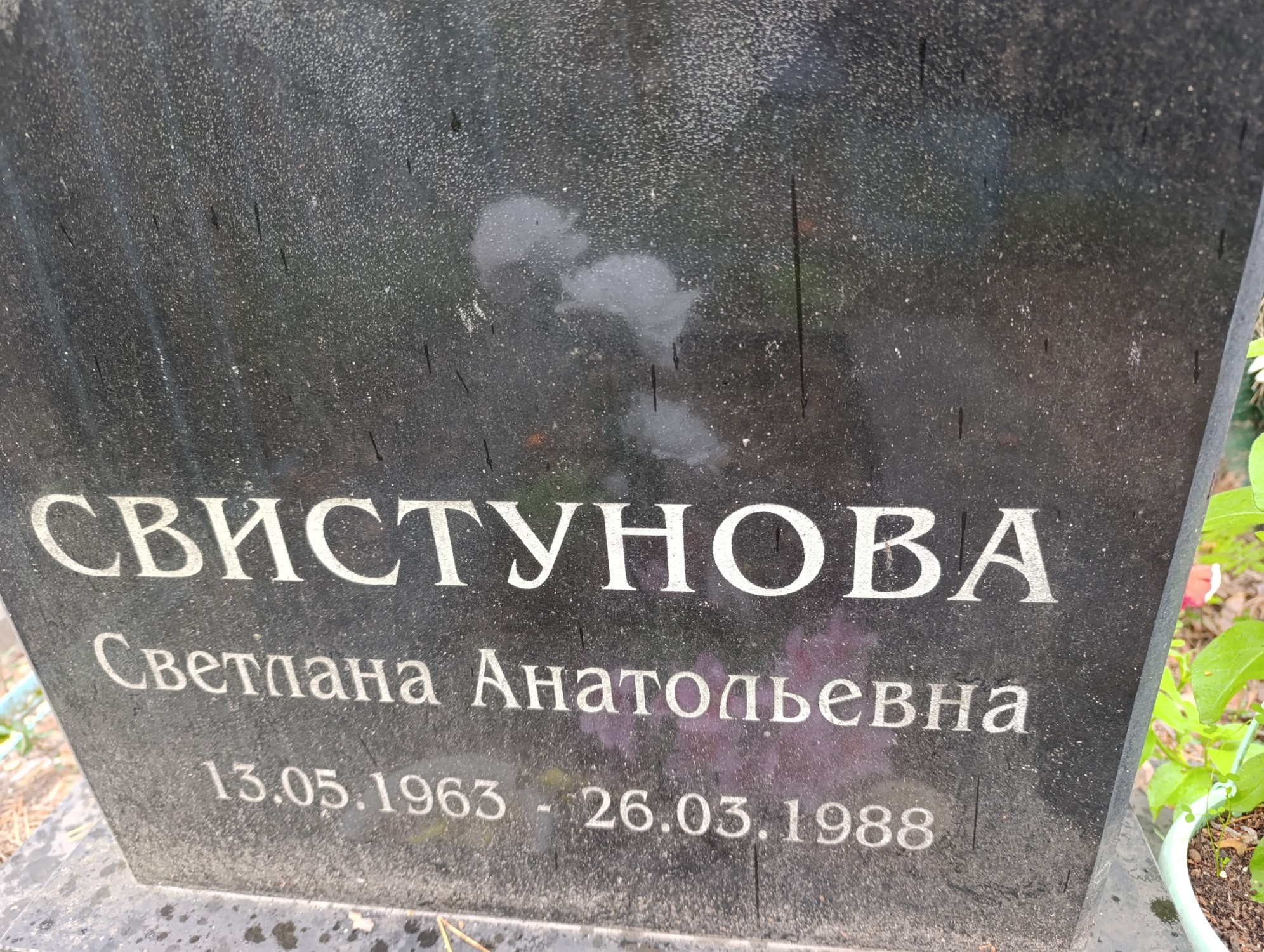 Свистунова Светлана Анатольевна