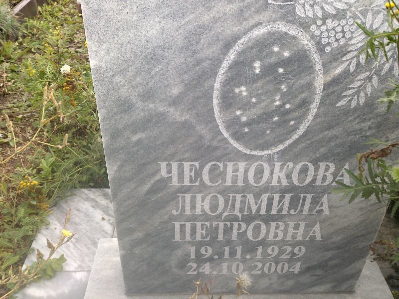 Чеснокова