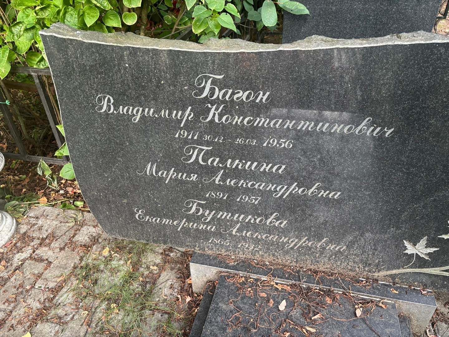Багон