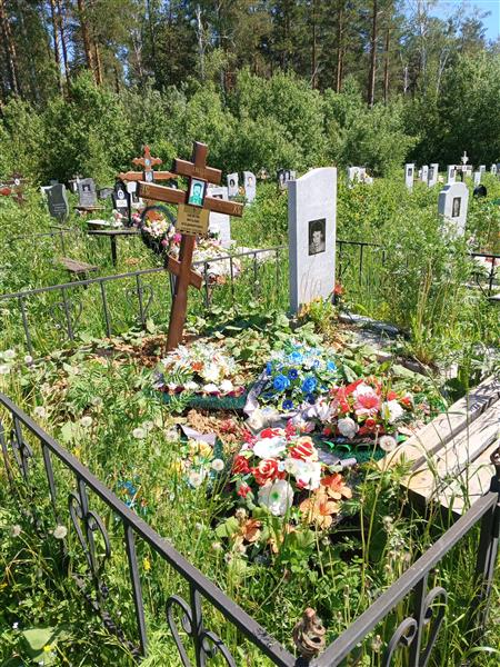 Шелегин Виталий Владимирович