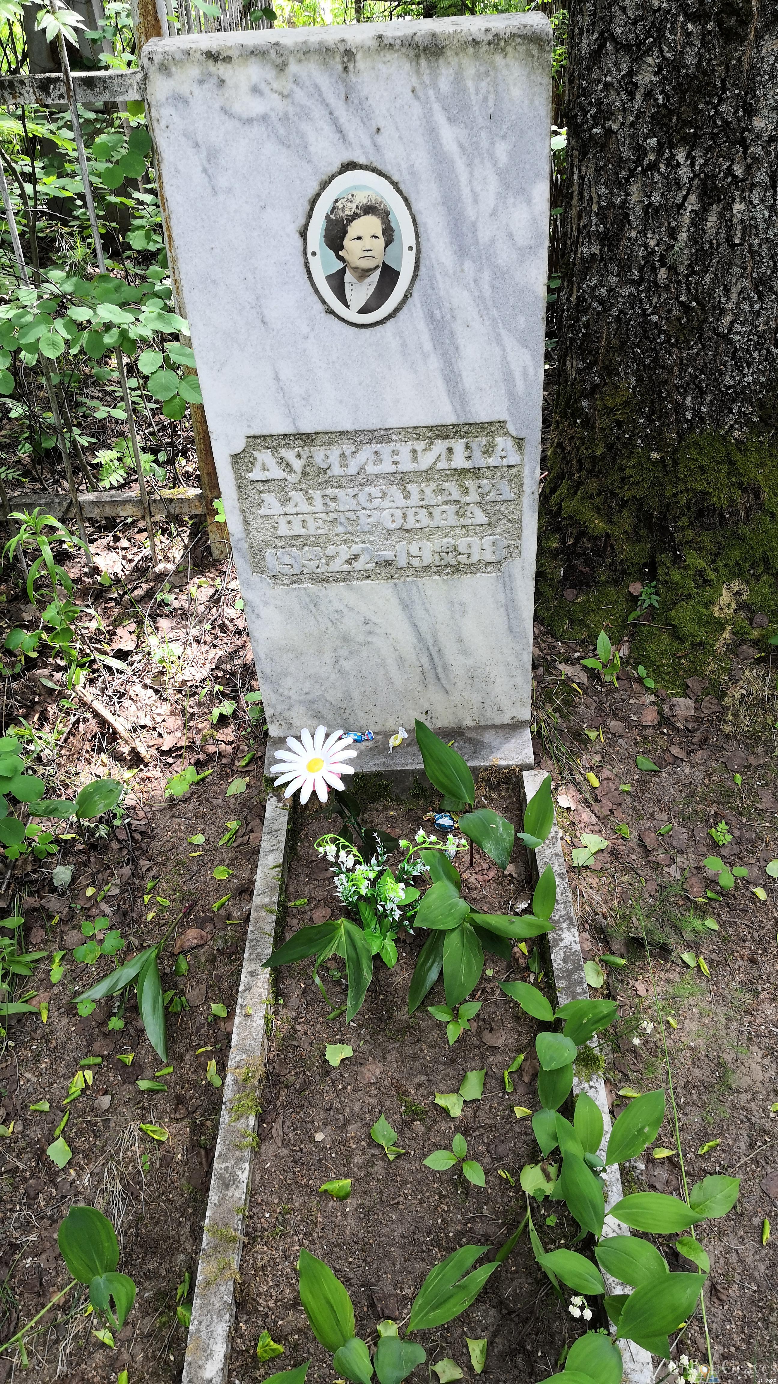 Лучинина Александра Петровна