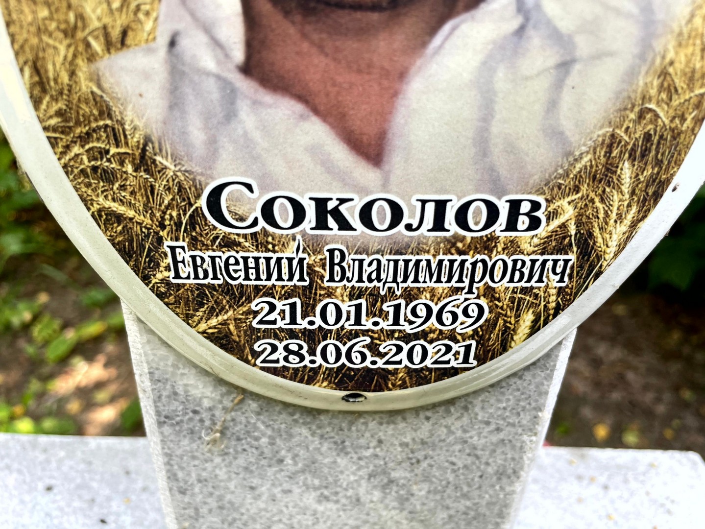 Соколов