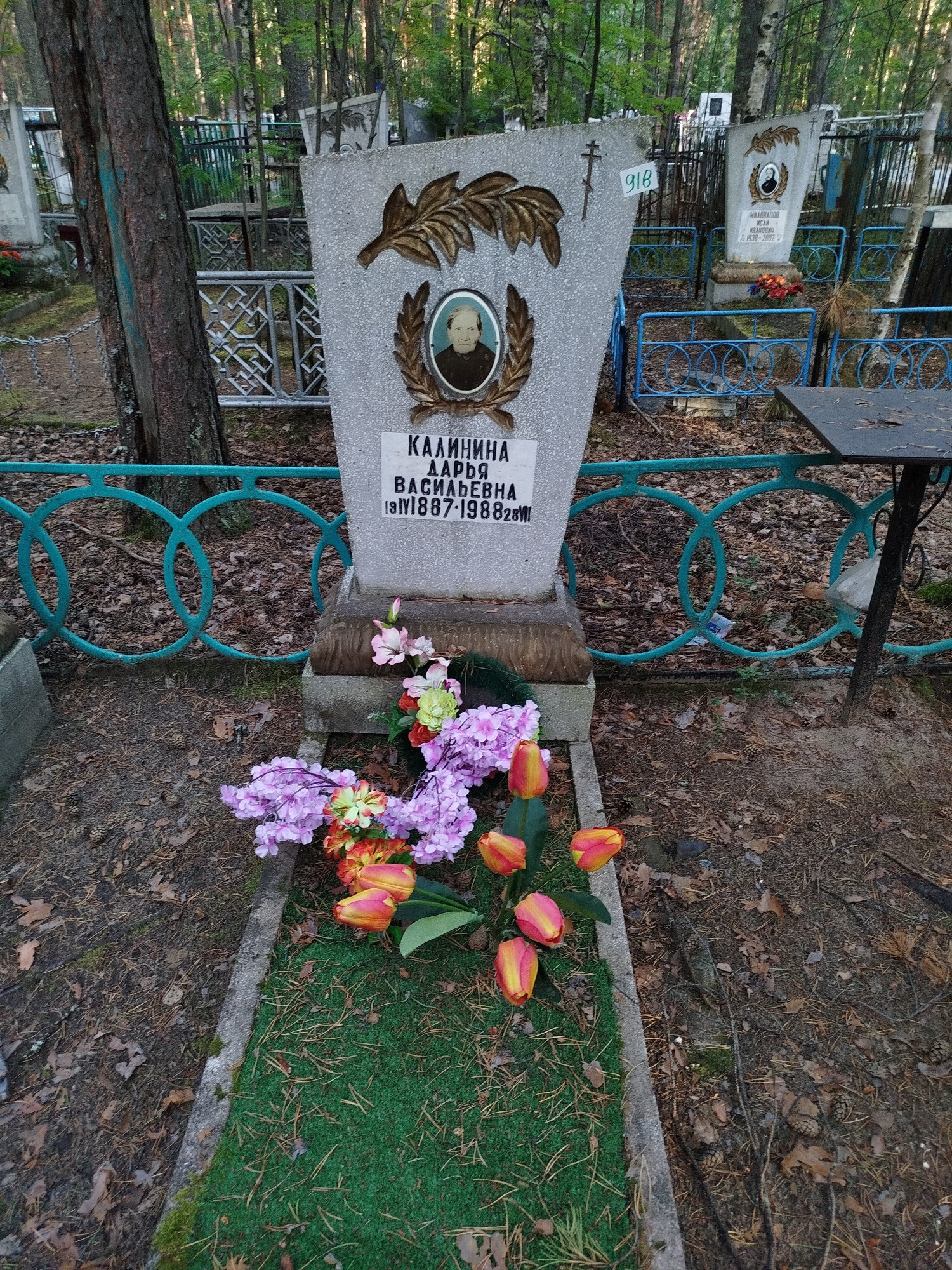 Калинина Дарья Васильевна